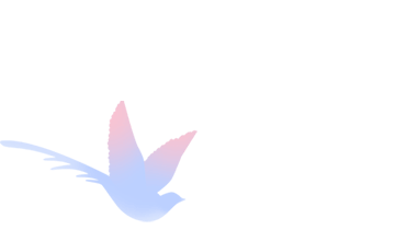 腾讯WiFi码，扫码连WiFi小程序，不用WiFi密码也能连接WiFi变现的好项目！  第11张